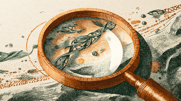 NIPT Testing for Gender: How Accurate is Fetal Sex Determination?